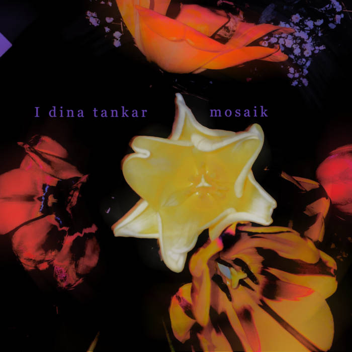 Mosaik – I dina tankar