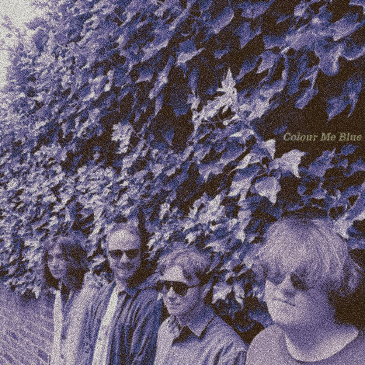 The Draize - Colour Me Blue